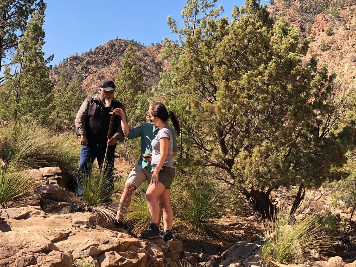 Discovery Resorts - Wilpena Pound Hawker Buitenkant foto