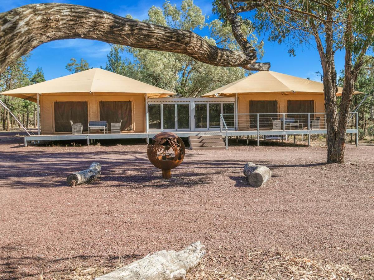 Discovery Resorts - Wilpena Pound Hawker Buitenkant foto