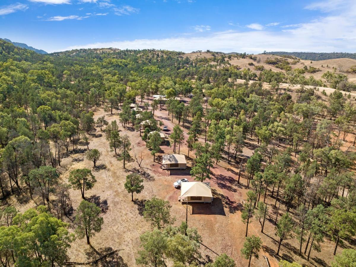 Discovery Resorts - Wilpena Pound Hawker Buitenkant foto