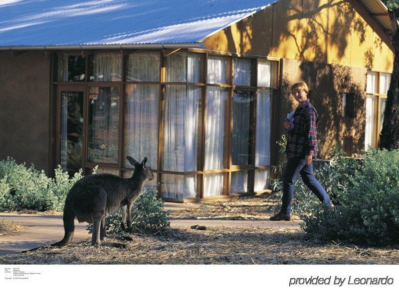 Discovery Resorts - Wilpena Pound Hawker Buitenkant foto