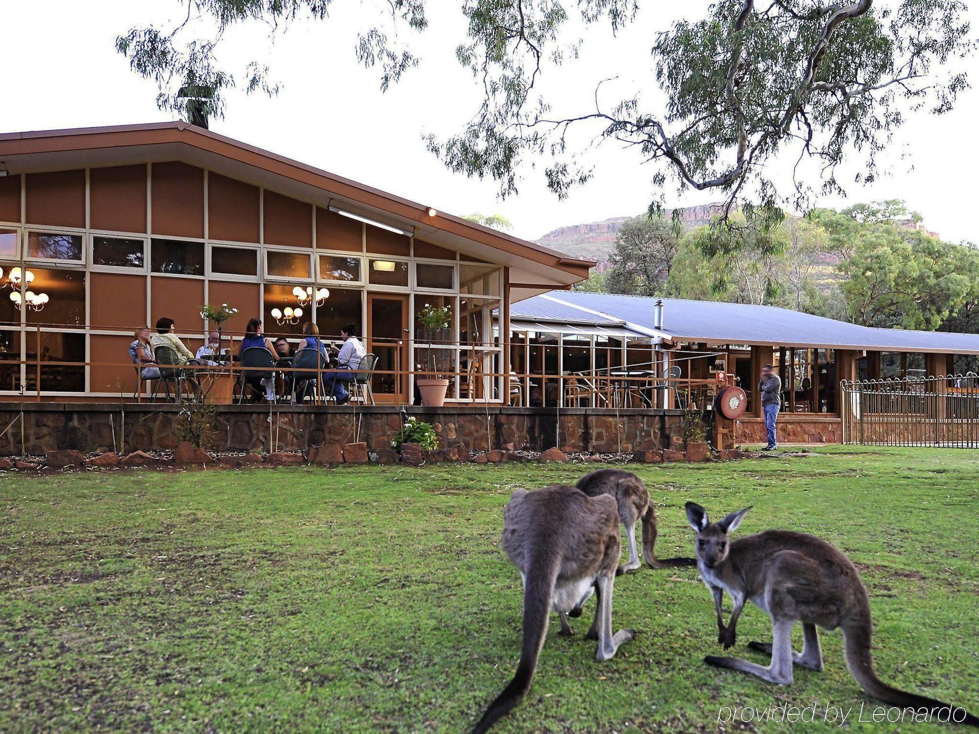 Discovery Resorts - Wilpena Pound Hawker Buitenkant foto