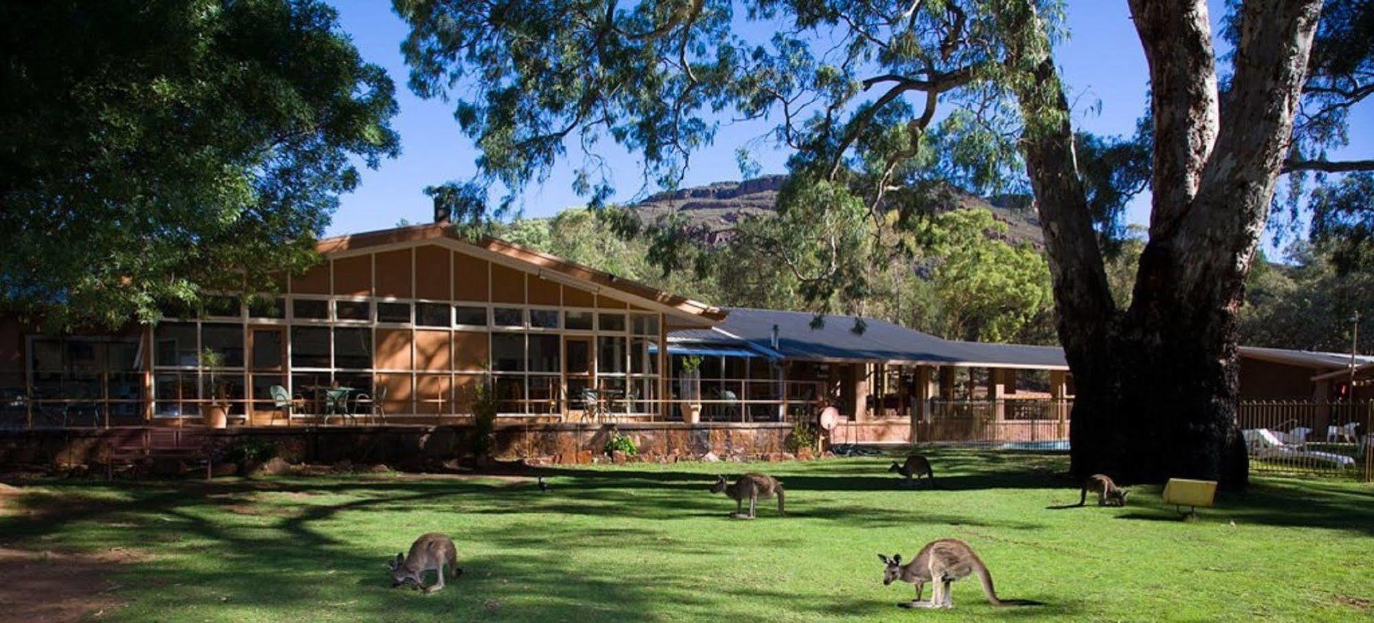 Discovery Resorts - Wilpena Pound Hawker Buitenkant foto